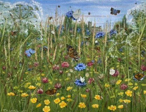 Butterfly Meadow at Highclere Castle